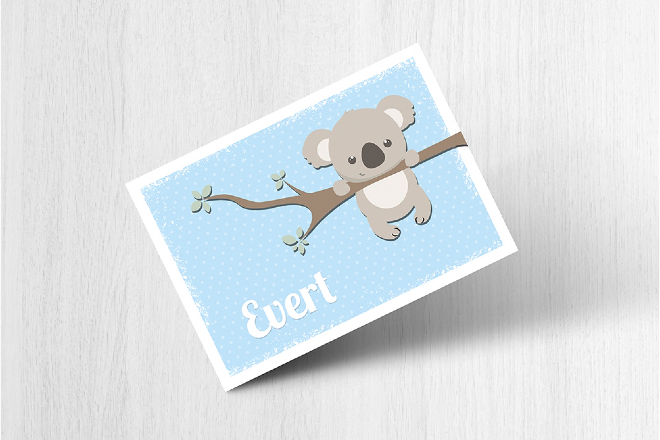 Lieve koalabeer